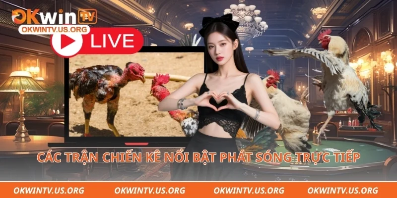 Các trận chiến kê nổi bật phát sóng trực tiếp 