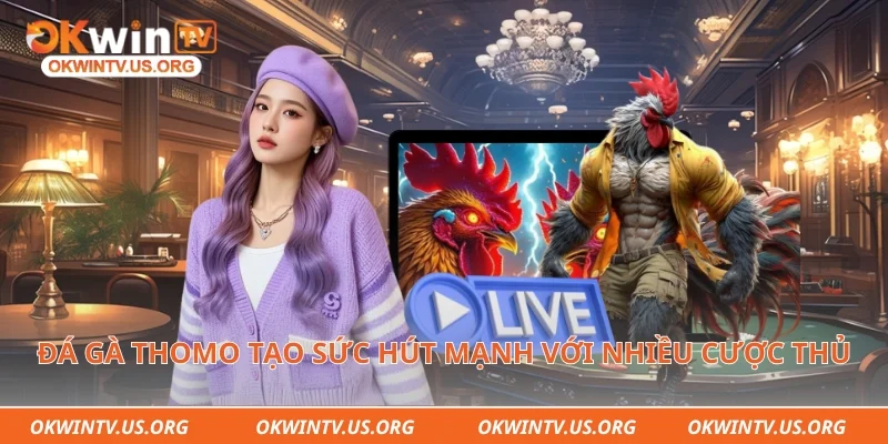 Đá gà thomo tạo sức hút mạnh với nhiều cược thủ lâu năm