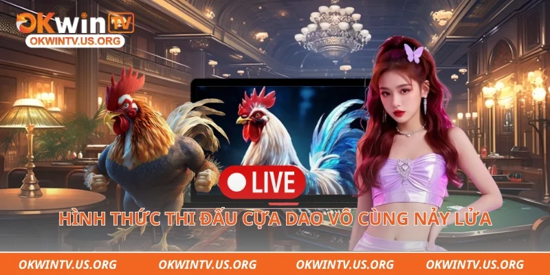 Hình thức thi đấu cựa dao vô cùng nảy lửa