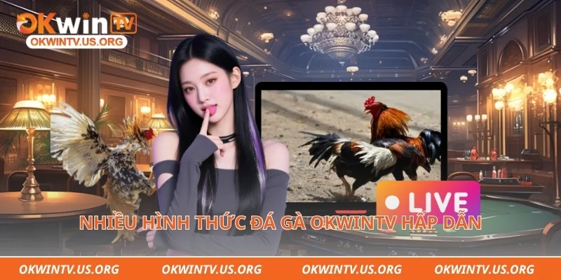 Nhiều hình thức đá gà Okwintv hấp dẫn 