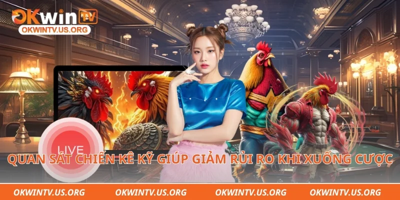 Quan sát chiến kê kỹ giúp giảm rủi ro khi xuống cược