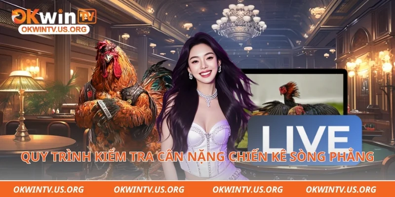 Quy trình kiểm tra cân nặng chiến kê sòng phẳng