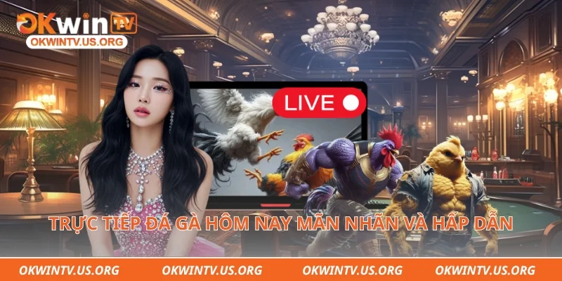 Trực tiếp đá gà hôm nay mãn nhãn và hấp dẫn